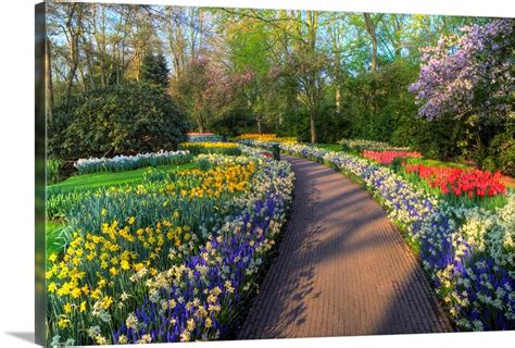 Pathway In Kuekenhof Gardens With Hyacinths, Daffodils, Tulips, Holland Wall Art, Canvas Prints ...