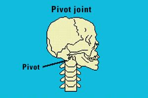 Mechanical Pivot Joint Examples