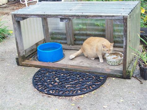 feral cat feeding station diy - Joanie Fryer