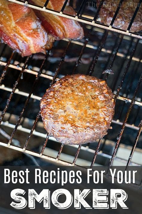 Best Electric Smoker Recipe Book | Besto Blog