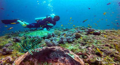 Scuba Diving In Neil Island - India Thrills