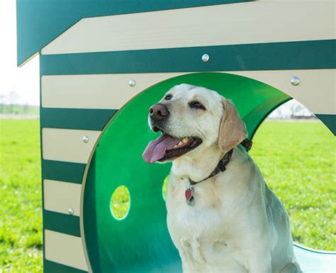 Recycled Dog Tunnel with Dog House | BarkPark