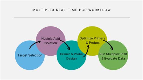 Real Time Pcr Diagram