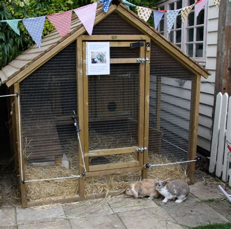 hutch Rabbit Shed, Rabbit Hutch Plans, House Rabbit, Rabbit Hutches, Pet Rabbit, Diy Bunny Cage ...