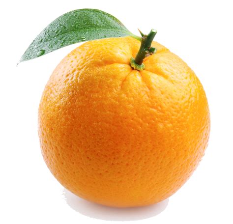 Orange Fruit - Orange Photo (34512881) - Fanpop