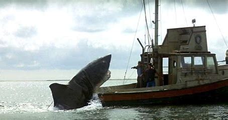 Jaws drop as shark jumps on boat — The Daily Jaws