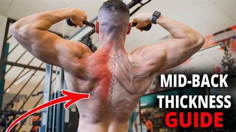 Build A Bigger Middle Back (Bodyweight & Weights) - YouTube