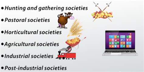 Society | Definition, Characteristics & Examples - Lesson | Study.com