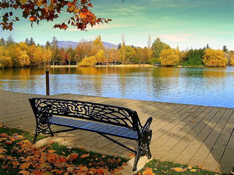 A peaceful spot, peaceful, bench, water, lake, HD wallpaper | Peakpx