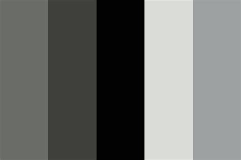 Black and white conscience Color Palette