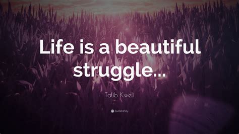 Talib Kweli Quote: “Life is a beautiful struggle...”