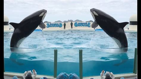 JAPAN: KamOgawa SeaWorld 2019!!! - YouTube