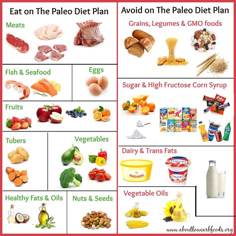 The Best Free Paleo Diet - Best Recipes Ideas and Collections