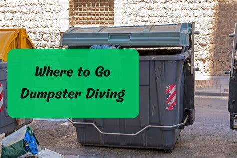 What Is Dumpster Diving? A Comprehensive Guide