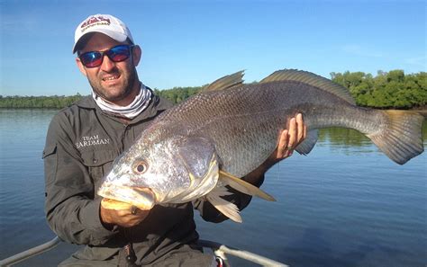 Fish Species - Arnhem Land Barramundi Lodge