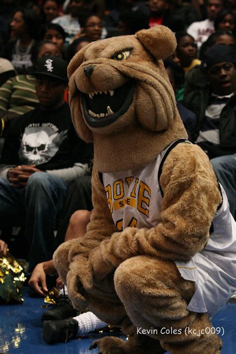 Bowie State University Bulldog Mascot | Kevin Coles | Flickr