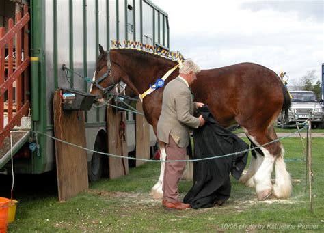 My life, under the microscope...: Oct 8: Fair: Shire Show