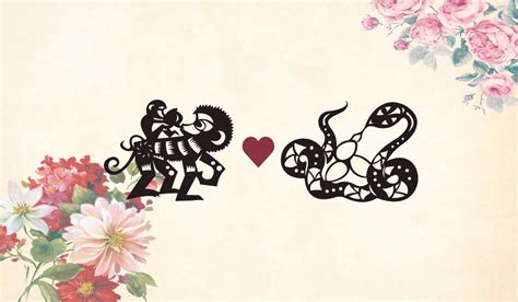 Monkey Man Snake Woman Long-Term Compatibility