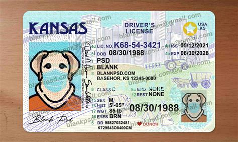 Kansas Drivers License Template New V2 - Blank PSD