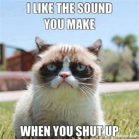 Grumpy Cat. I like the sound you make when you shut up | Grumpy cat ...