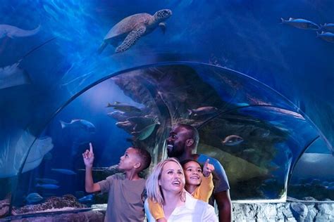 SEA LIFE Minnesota Aquarium Admission at the Mall of America 2024 - Bloomington