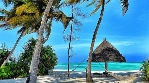 Pongwe Beach | Travel Guides to Pongwe Zanzibar!