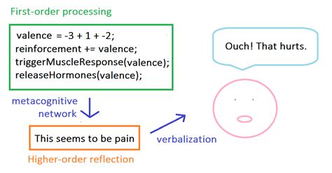 Higher-Order Theories of Consciousness by Themselves Are Too Parochial