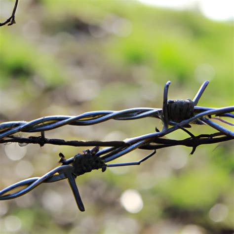 Who Invented Barbed Wire? A Comprehensive Look at the History and ...