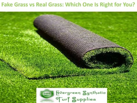 PPT - Fake Grass vs Real Grass: Which One Is Right for You? PowerPoint Presentation - ID:12907548