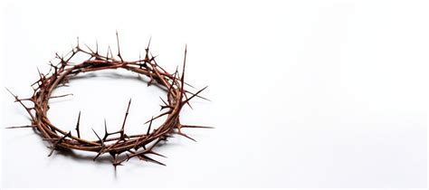 Premium Photo | A crown of thorns on a white background Easter religion