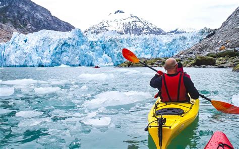 Glacier Bay Adventure Cruise - 2 Days in GBNP - AdventureSmith