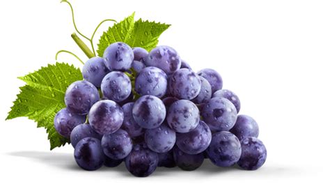 Concord Grape Png