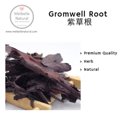 Gromwell Root 紫草根 | Lazada