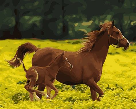Horse - Animals Paint By Numbers – Numeral Paint