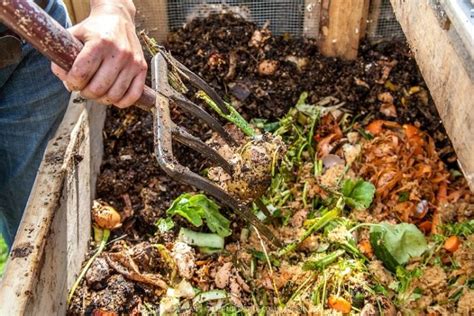 The Art Of Composting And Decomposing: A Comprehensive Guide