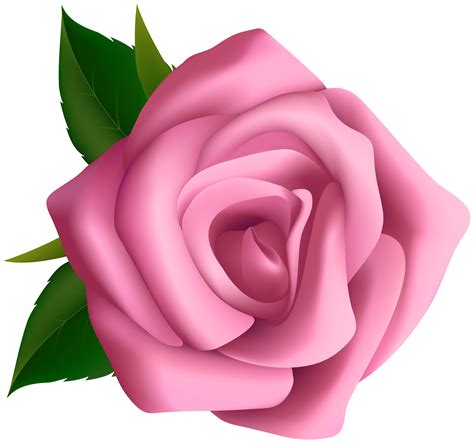 Free Rose Cliparts, Download Free Rose Cliparts png images, Free ClipArts on Clipart Library