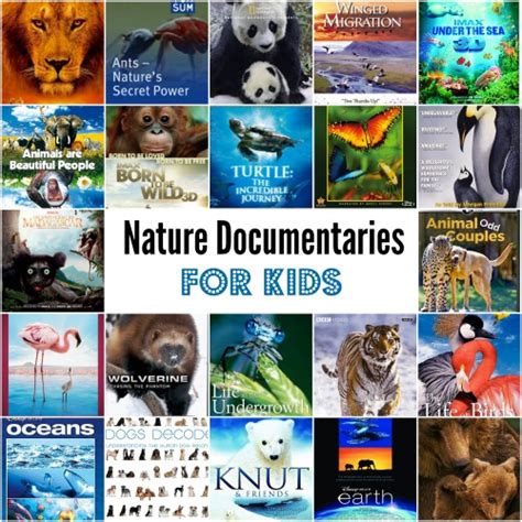 Top 148+ National geographic animal documentary full episodes ...