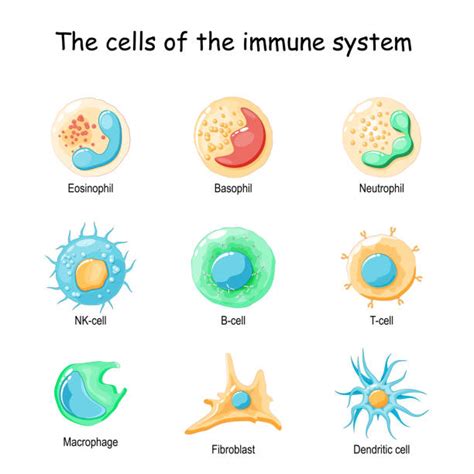 177,200+ Biological Cell Stock Illustrations, Royalty-Free Vector Graphics & Clip Art - iStock