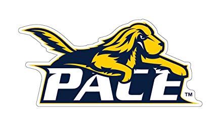 pace university logo 10 free Cliparts | Download images on Clipground 2024