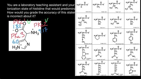 Which Nitrogen in Histidine is Protonated? - YouTube