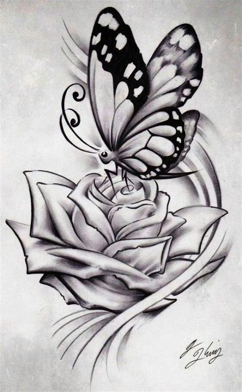 40 Beautiful Simple Butterfly Drawings In Pencil