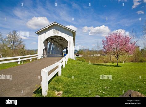 The Weddle Covered Bridge over Ames Creek in Sweet Home, Oregon Stock Photo: 56961294 - Alamy