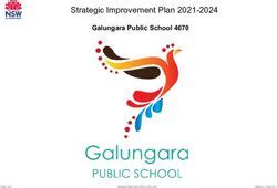 Strategic Improvement Plan 2021-2024 - Galungara Public School 4670 - AWS