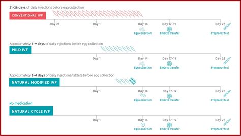 Monash Ivf Frozen Embryo Transfer Process - Timeline : Resume Template ...