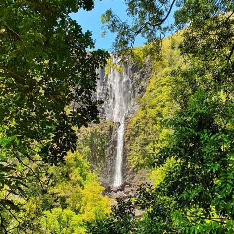 ABOUT THE AMAZING WAIRERE FALLS WALK (MATAMATA)