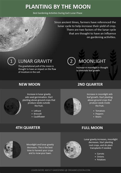 Planting By the Moon - The Starter's Guide | Lunar cycle, Biodynamic gardening, Moon garden