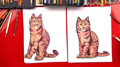 How To Draw A Realistic Cat - Art For Kids Hub