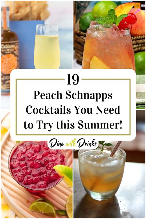 19 Peach Schnapps Cocktails You Need to Try this Summer ...