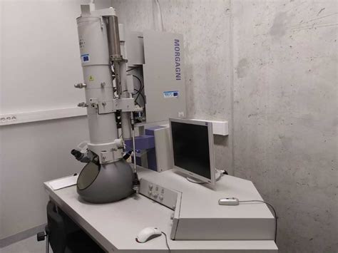 Transmission Electron Microscope FEI Morgagni