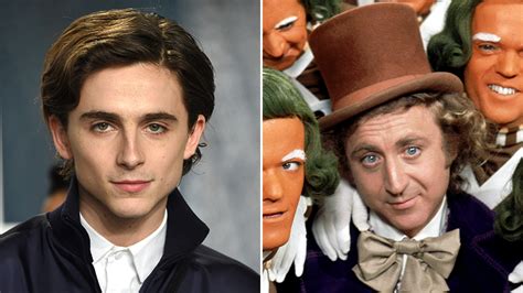 Timothee Chalamet Willy Wonka Cast - Anak Instristans Blog